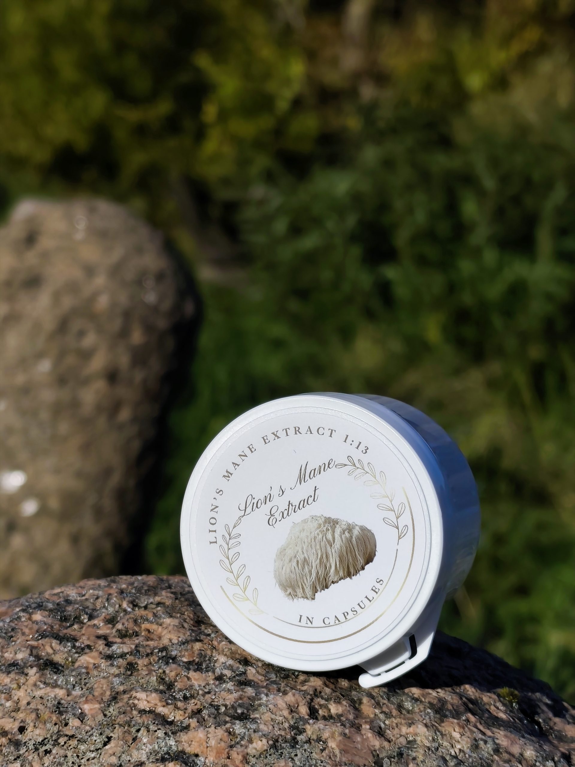 Lion’s Mane Extract 60 Capsules.